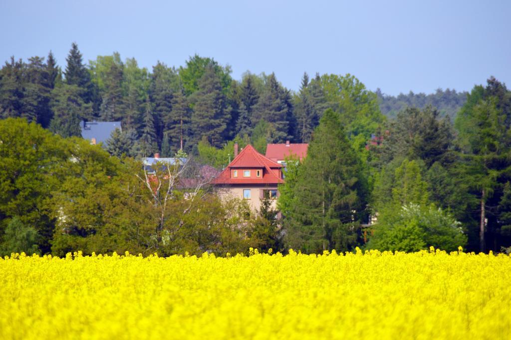 Ferienwohnung Deutschmann Dahlen Pokoj fotografie