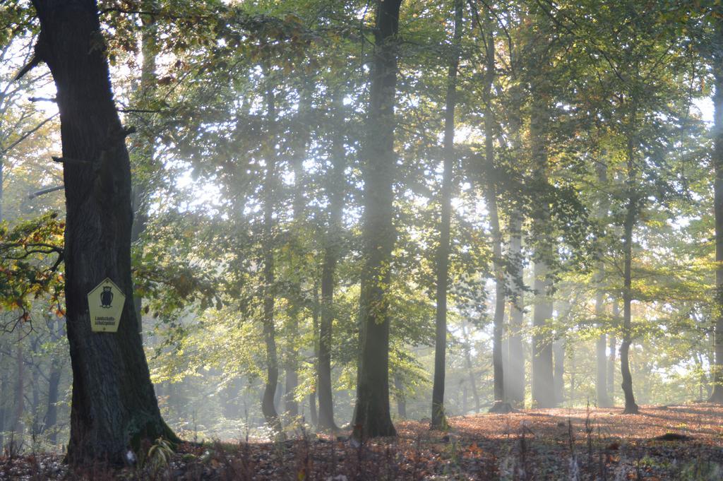 Ferienwohnung Deutschmann Dahlen Exteriér fotografie